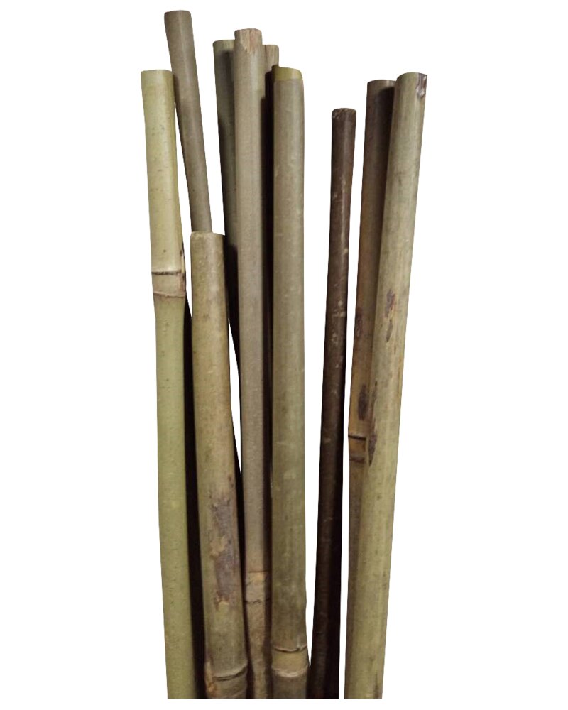 Blompinme bambu 180 cm 4-pack