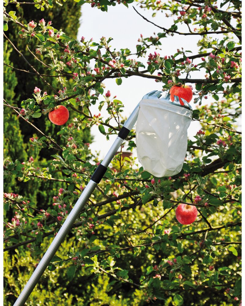 Fruktplockare med teleskopskaft