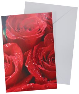 Kort med kuvert 11x17 cm - rose